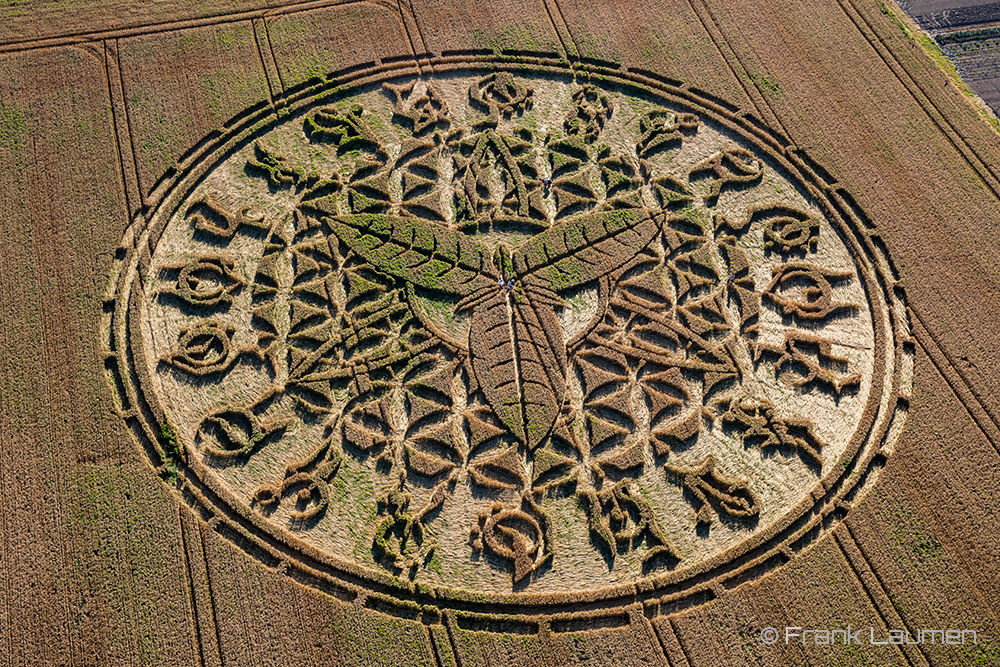 crop circle candidate 2016