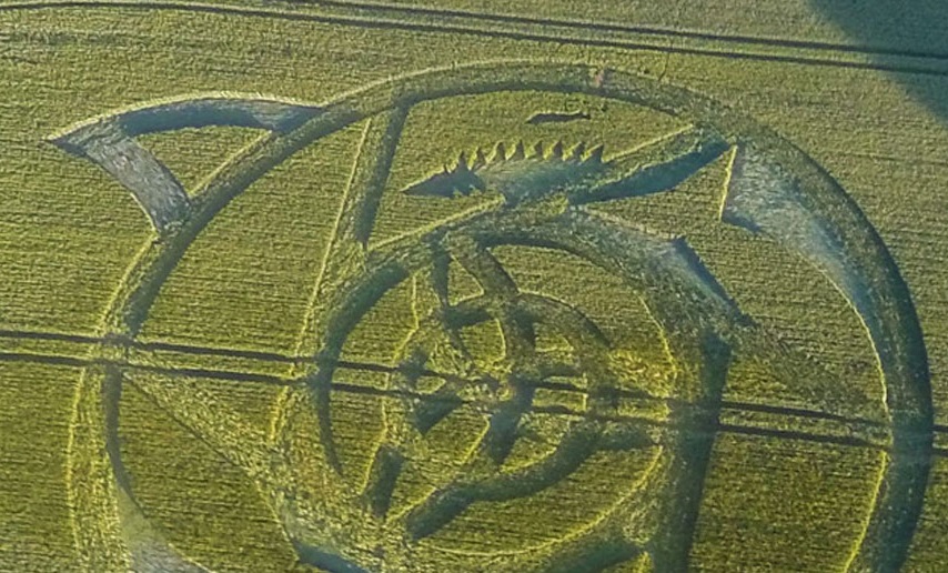 crop circle candidate 2016